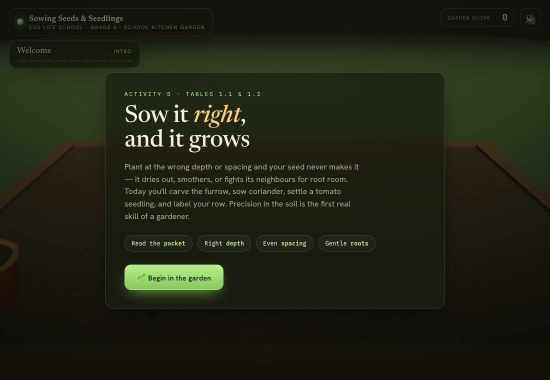 Sowing Seeds — Depth & Spacing